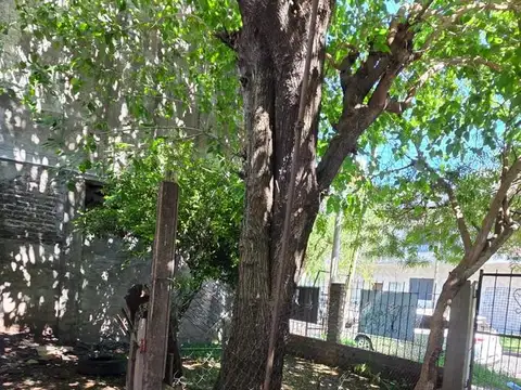 Casa en Alquiler de 2 dormitorios
