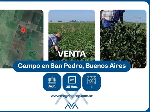 Campo Agrícola 40 Has. En San Pedro, Buenos Aires