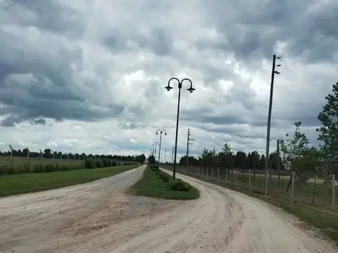 Terreno en Venta de 652,0 m2