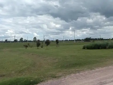 LOTE EN FINCAS DE SAN VICENTE JOVEN