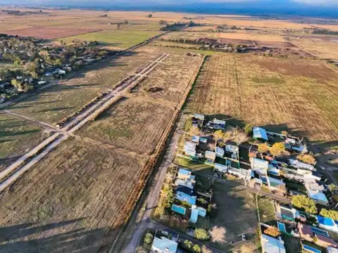 Campos de amelia