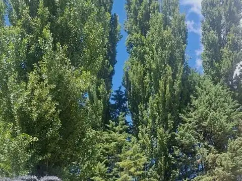 Casa en Alquiler Neuquén Capital semi amueblada