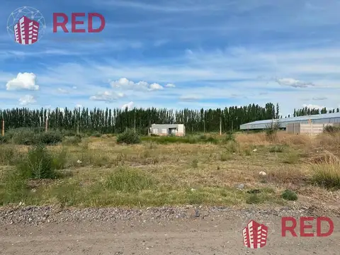 Los Eucaliptos  al 4000