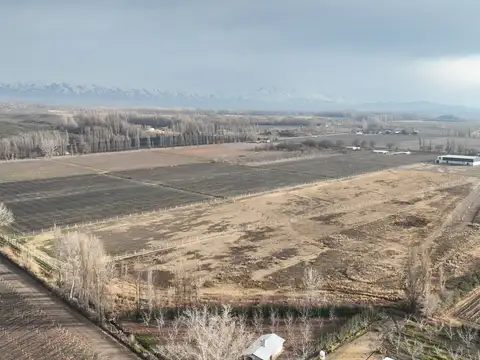 Campo en Venta de 6  ha