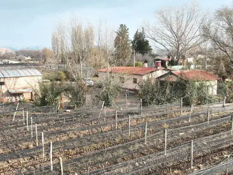 Campo en Venta de 6  ha