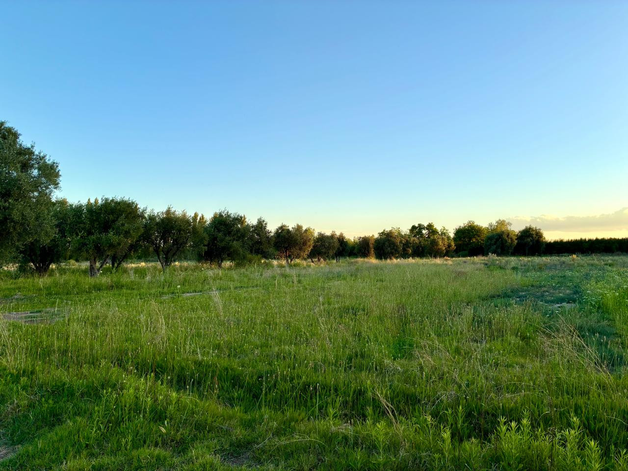 Terreno de 50.199 m² con potencial de desarrollo residencial | San Rafael