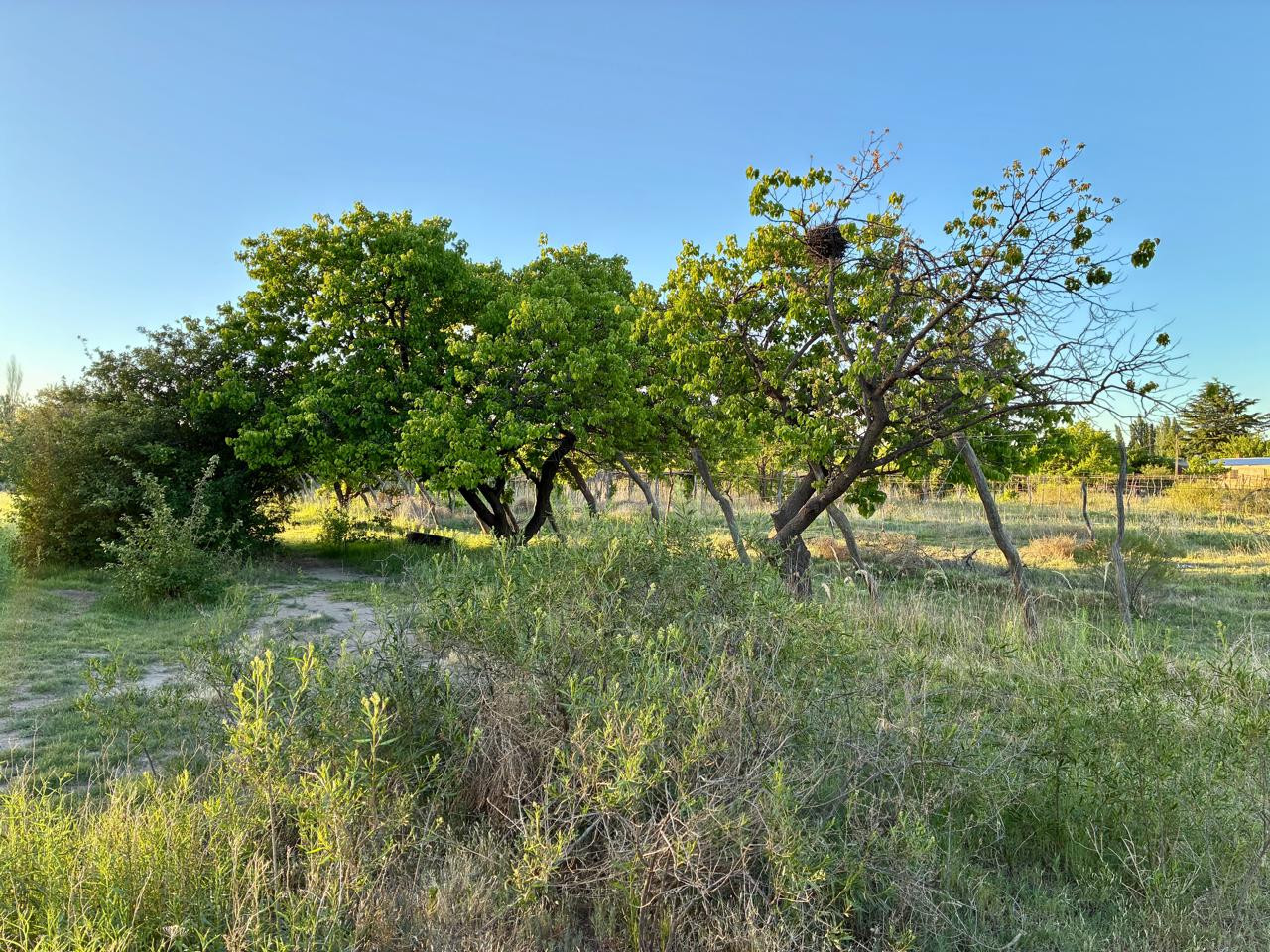 Terreno en Venta de 50199,0 m2