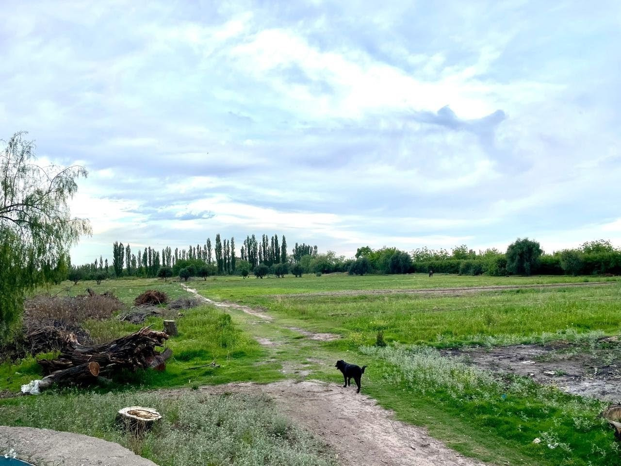 Terreno en Venta en San Rafael, USD 70.000