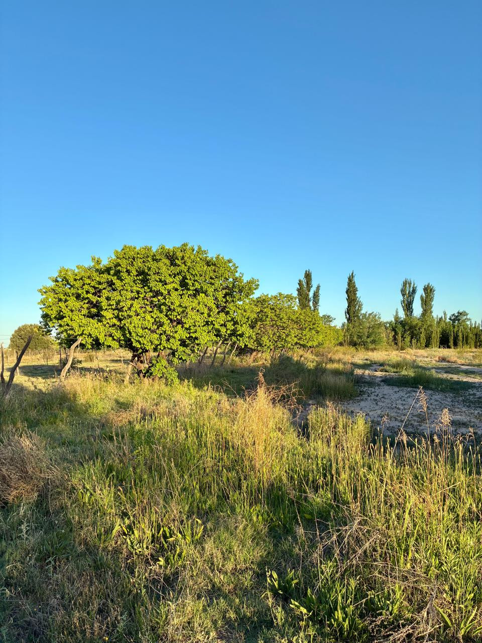 Terreno de 50.199 m² con potencial de desarrollo residencial | San Rafael