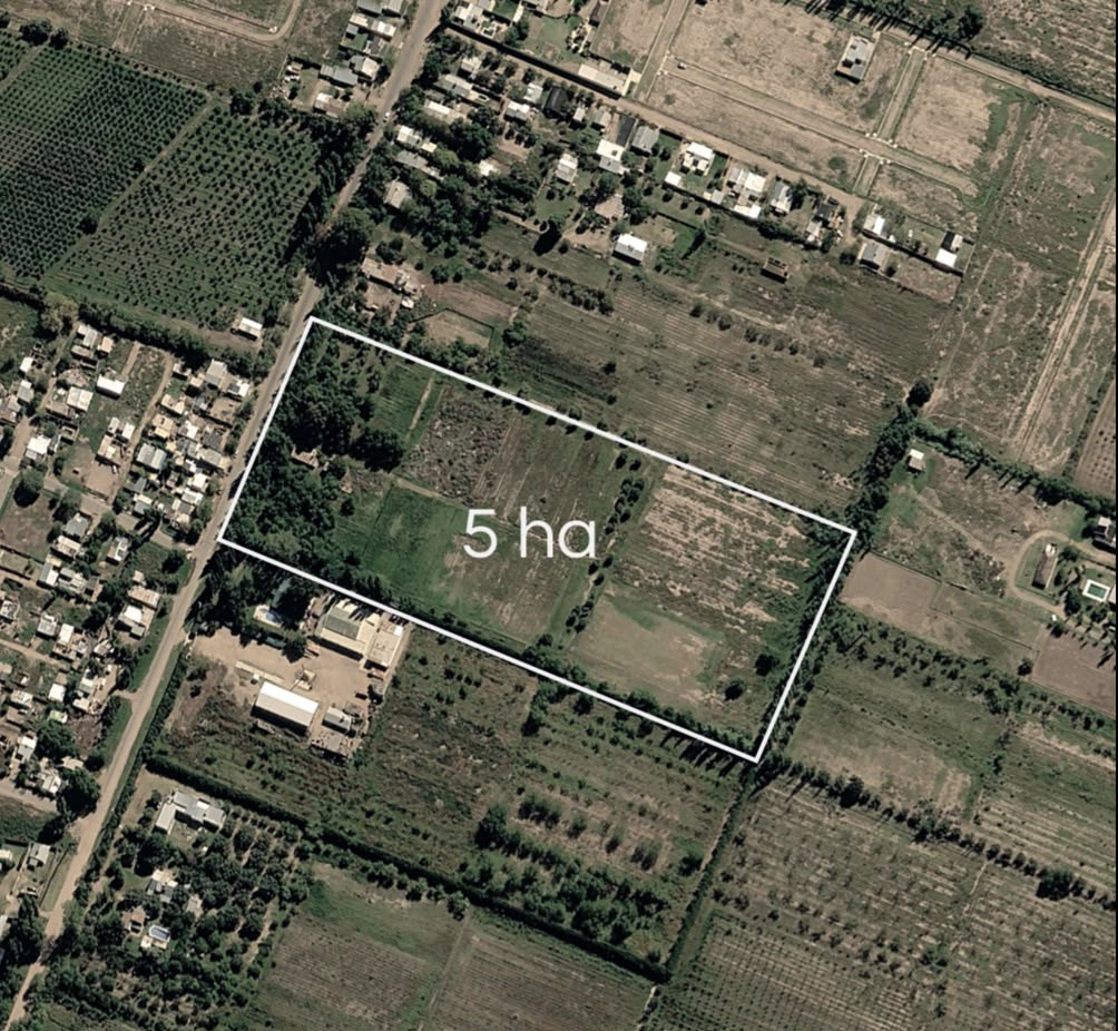 Patricias Mendocinas 3100