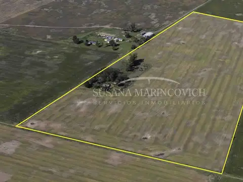 Campo de 22ha en Espora