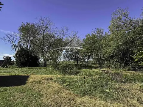 Campo de 22ha en Espora