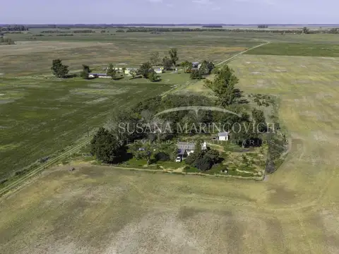 Campo de 22ha en Espora