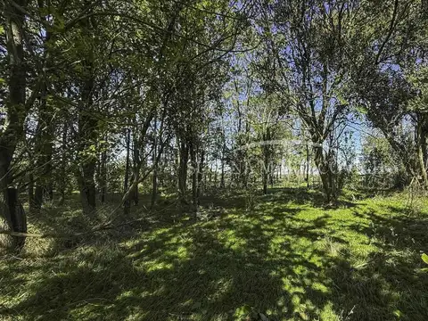 Campo de 22ha en venta en Espora - San Andres de Giles