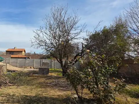 Casa en Alquiler 36 años