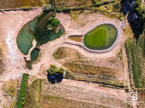 VENTA TERRENO EN MAIMARA