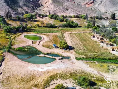 Terreno en VENTA MAIMARA