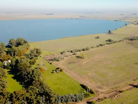 Campo en Venta de 900  ha