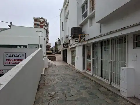 Libertador 100