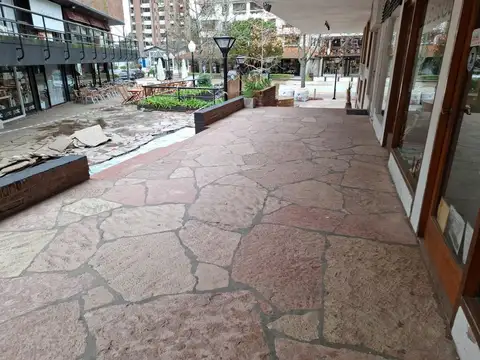 Libertador 100