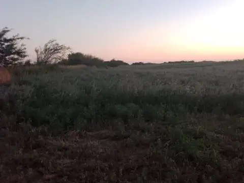 Venta de 5 hectáreas en Vicuña Mackenna,- Ideal desarrollo inmobiliario o industrial