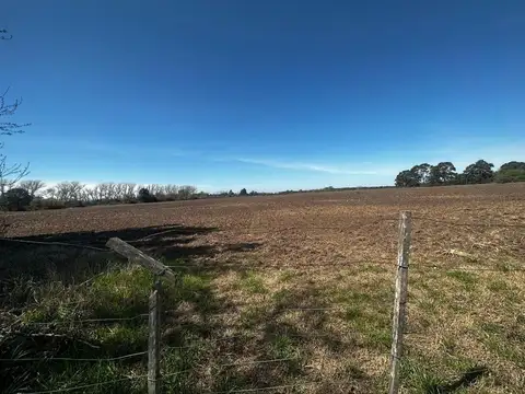 CAMPO EN VENTA 18 HECTAREAS SAN ANDRES DE GILES