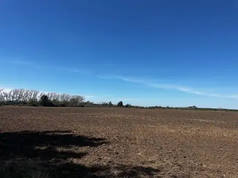 Ruta 8 Km 95.100 S/n Solis