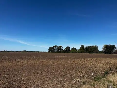 Campo en Venta de 18,47  ha