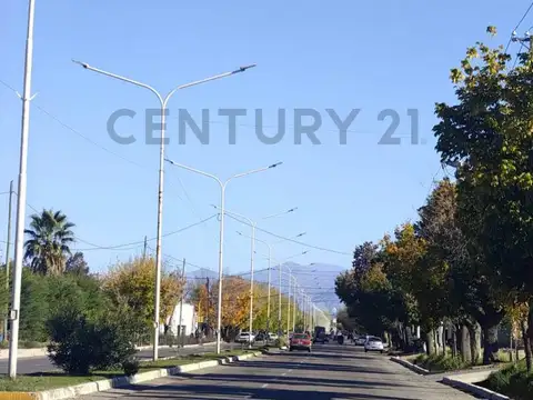 Finca Productiva. Calle Lencinas