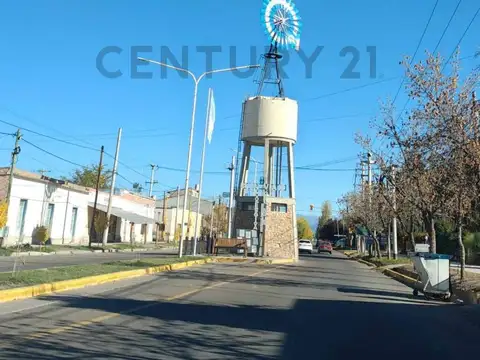 VENTA FINCA 7,08 HA – VISTA FLORES, TUNUYÁN (VALLE DE UCO)