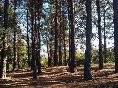 FR 24 LOTE 11B - CORTADA TALAMPAYA Y AV. DEL PLATA