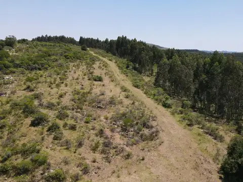 Ruta 9 100