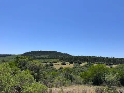 Ruta 9 100