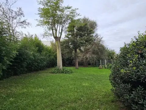 Terreno con importantes arboles, 14x32 - Yapeyu entre Vte Lopez y Rondeau