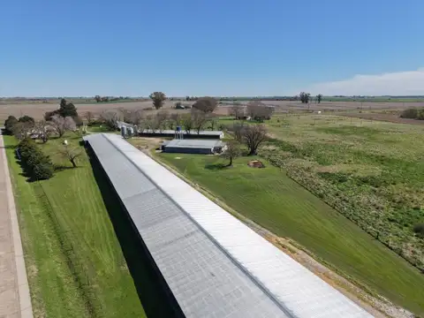 Granja avicola a la venta, posibilidad de entrega + financiación.