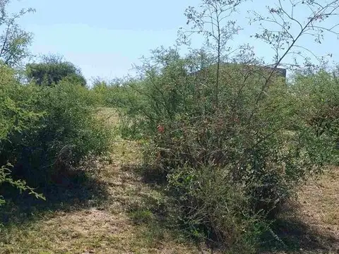 Terreno en Venta en La Calera, USD 58.000