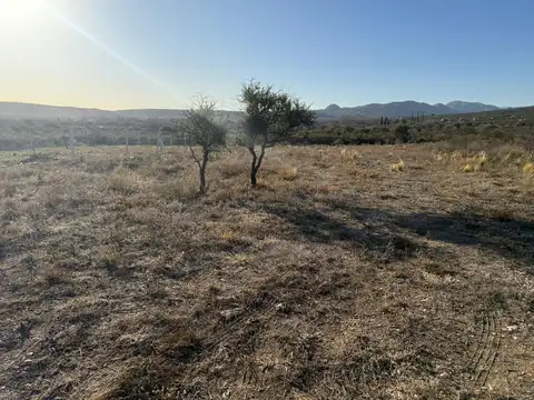 Terreno en Venta en San Lorenzo, USD 16.000