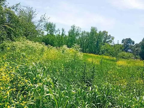 venta de terreno lote 10800 m2 en Sausalito, Pilar