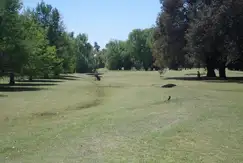 Banco de la Provincia de Buenos Aires Country Club - Foto 17