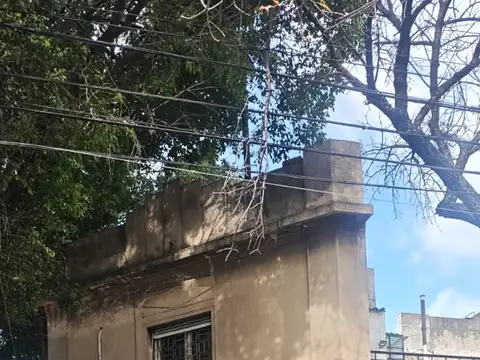 Alejandro Magariños Cervantes 1500