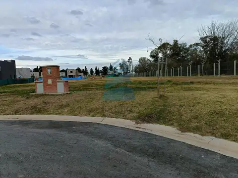 Avenida Camaño