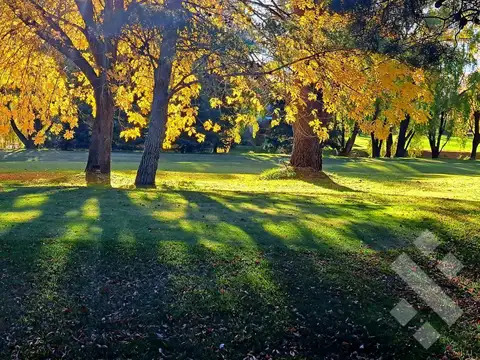 CASA EN VENTA C/ PISCINA CLIMATIZADA Y FONDO CANCHA GOLF - ARROYITO, NEUQUÉN