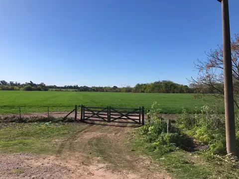 Campo en Venta de 18  ha