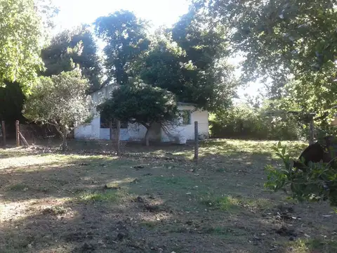 RUTA 20