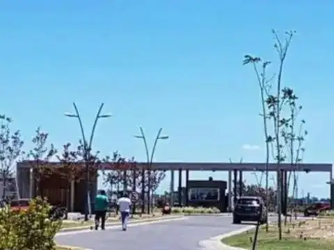 Castaños 200