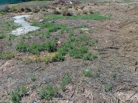 Terreno en Calpa 1 Confluencia Rural Neuquén a 100mts del río