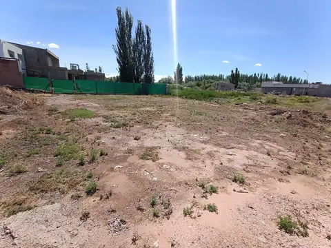 Terreno en Venta de 250,0 m2