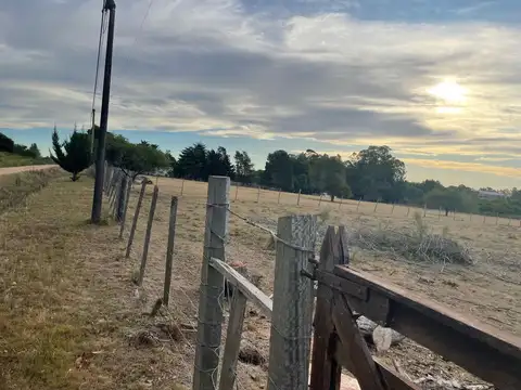 Venta de campo 1ha y 2.986m² cerca de Suarez