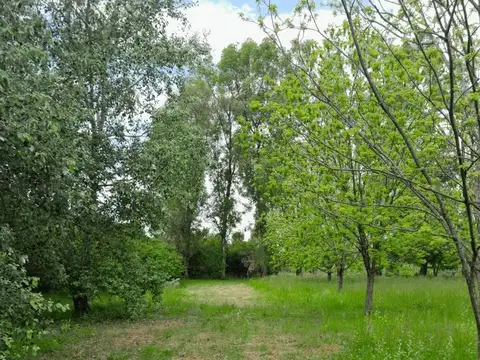 Terreno en Venta en Zelaya, USD 240.000