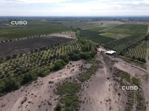 Lunlunta, Mendoza, Argentina